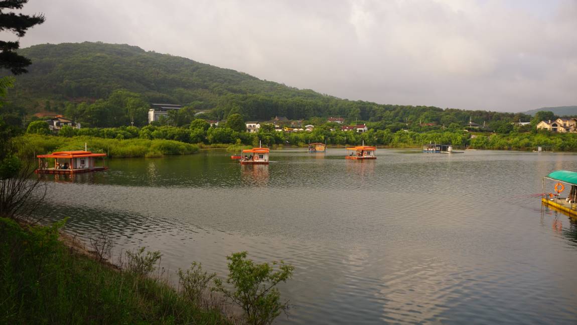 DSC09528.JPG