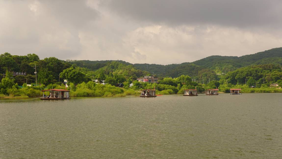 DSC09546-d.jpg
