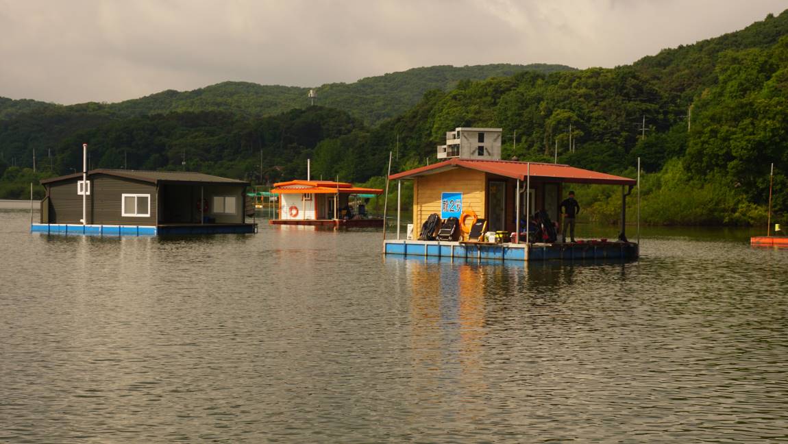 DSC09547-d.jpg