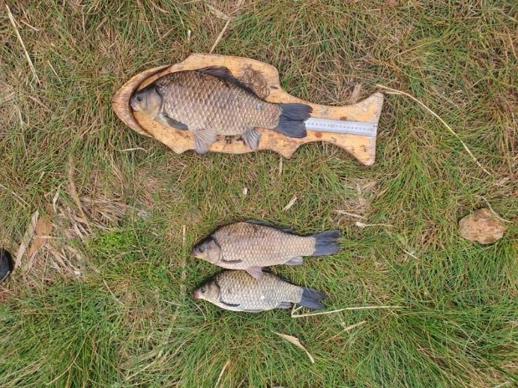 KakaoTalk_20200606_062523446.jpg