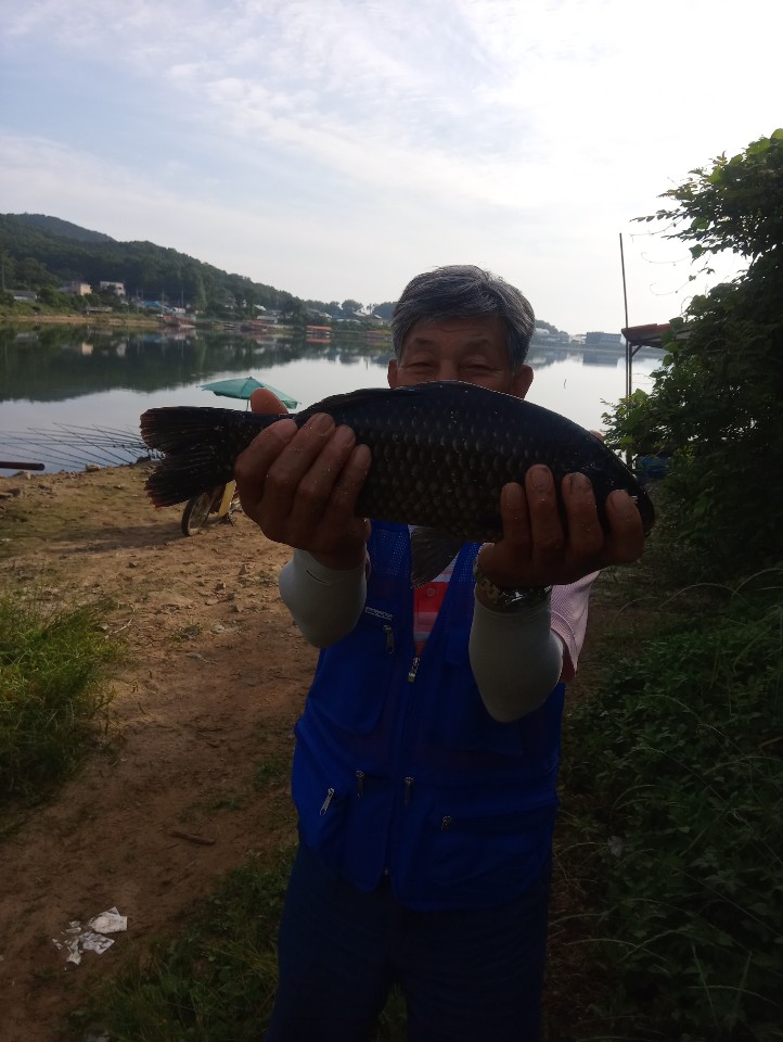 KakaoTalk_20200613_095531902.jpg