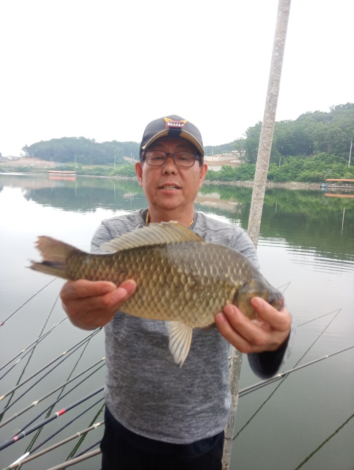 KakaoTalk_20200613_095534052.jpg
