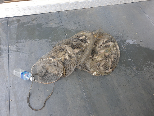 6�� 28��-20200617_095920.jpg