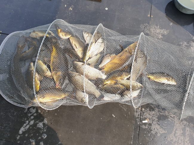 6�� 28��-20200619_093017.jpg