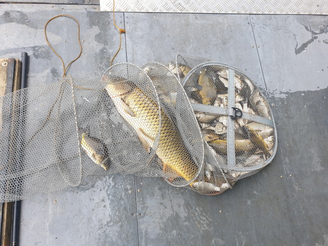 6�� 28��-20200617_105207.jpg