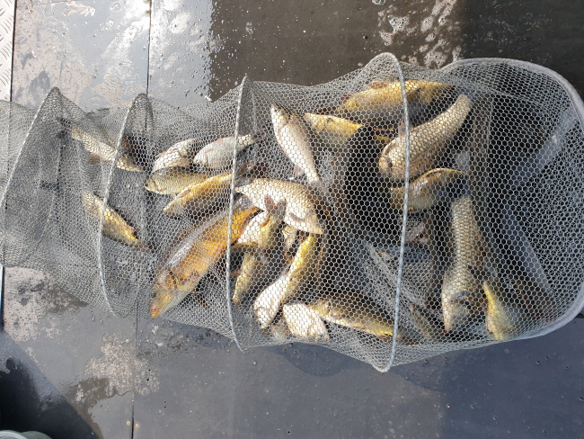 6�� 28��-20200619_093024.jpg