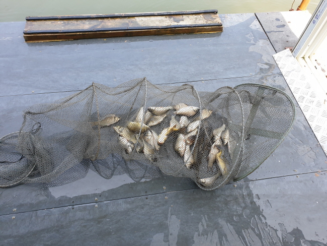 6�� 28��-20200621_100347.jpg