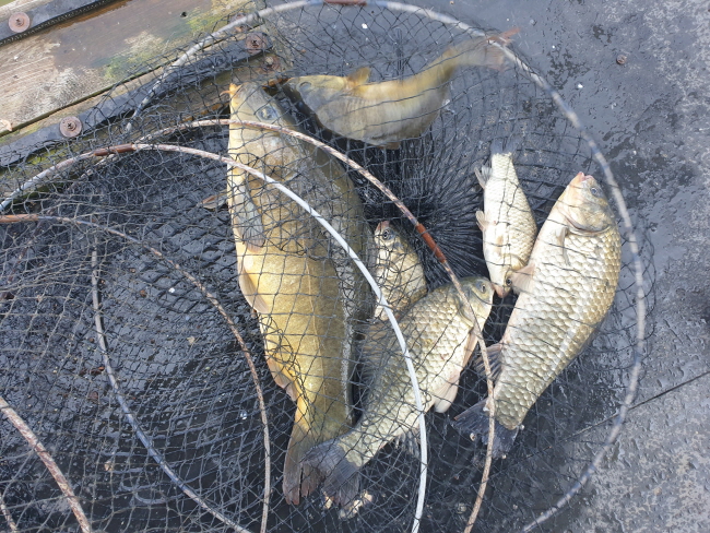 6�� 28��-20200622_103546.jpg