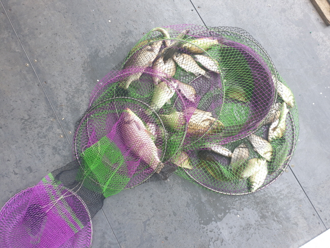 6�� 28��-20200627_101428.jpg