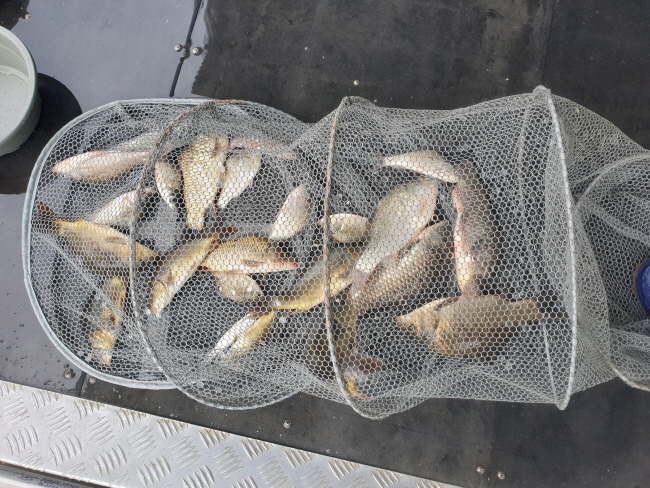 6�� 28��-20200628_093120.jpg