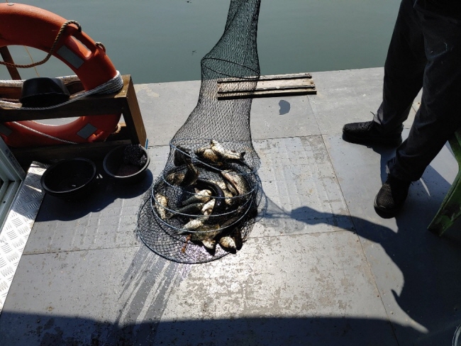 6�� 28��-1592728846097.jpg