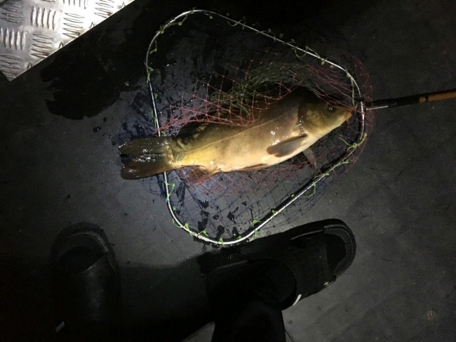 6�� 28��-IMG_7319.jpg