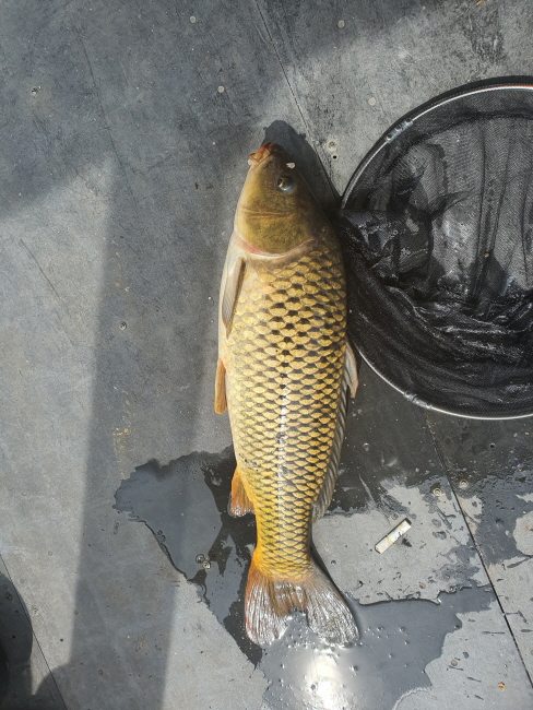 6�� 28��-Resized_20200617_094854.jpeg