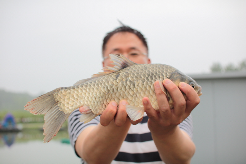 [크기변환]IMG_8654.JPG