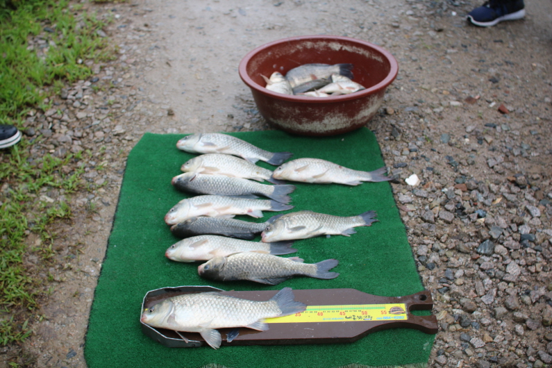 [크기변환]IMG_9502.JPG
