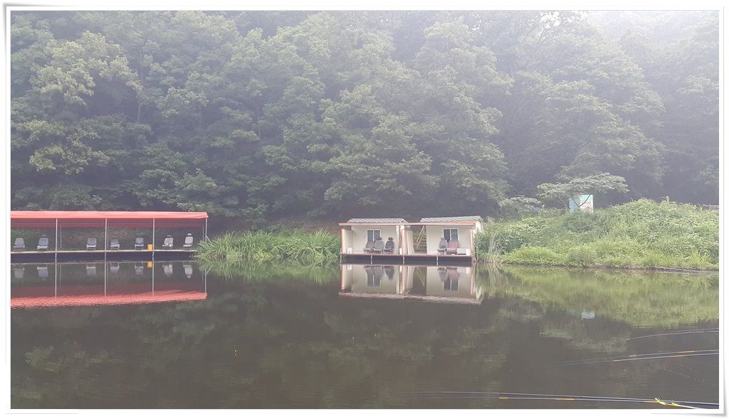 20150723_070254.jpg