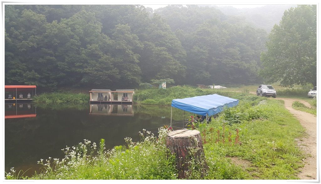 20150723_070518.jpg