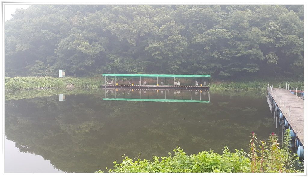 20150723_070624.jpg