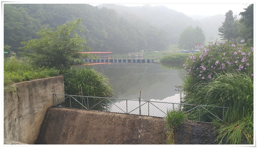 20150723_070825.jpg