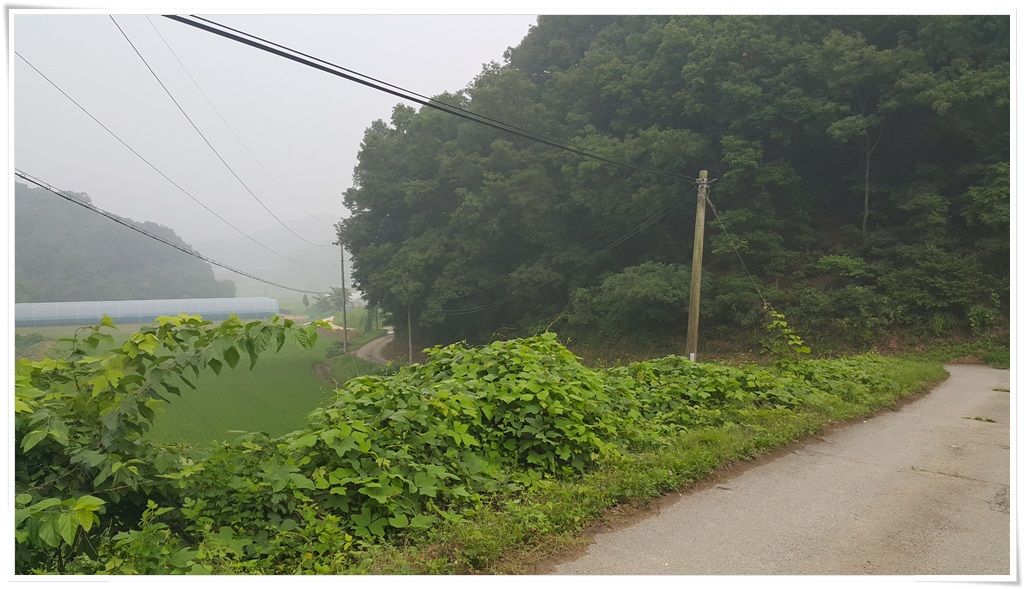 20150723_070855.jpg