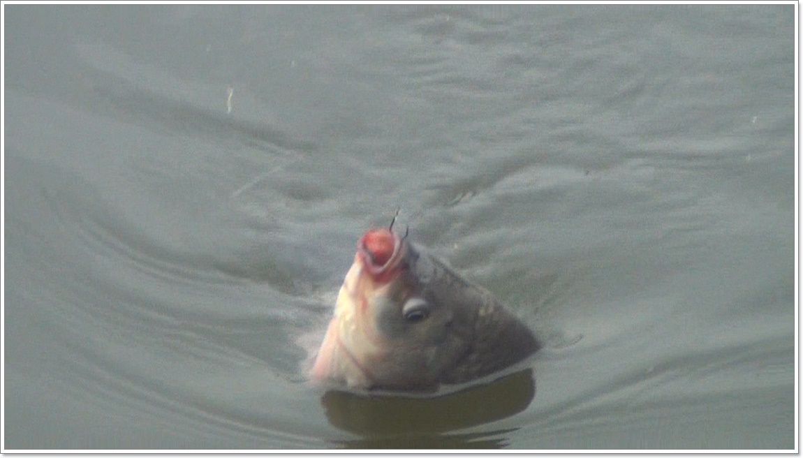 Image1.jpg