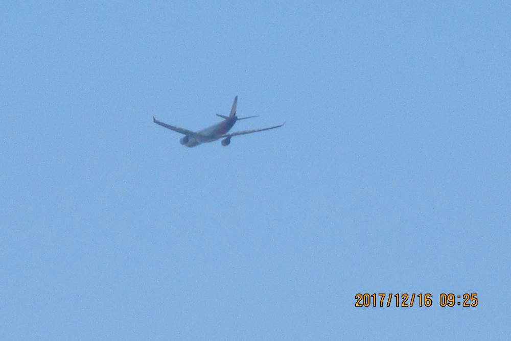 IMG_2175.JPG