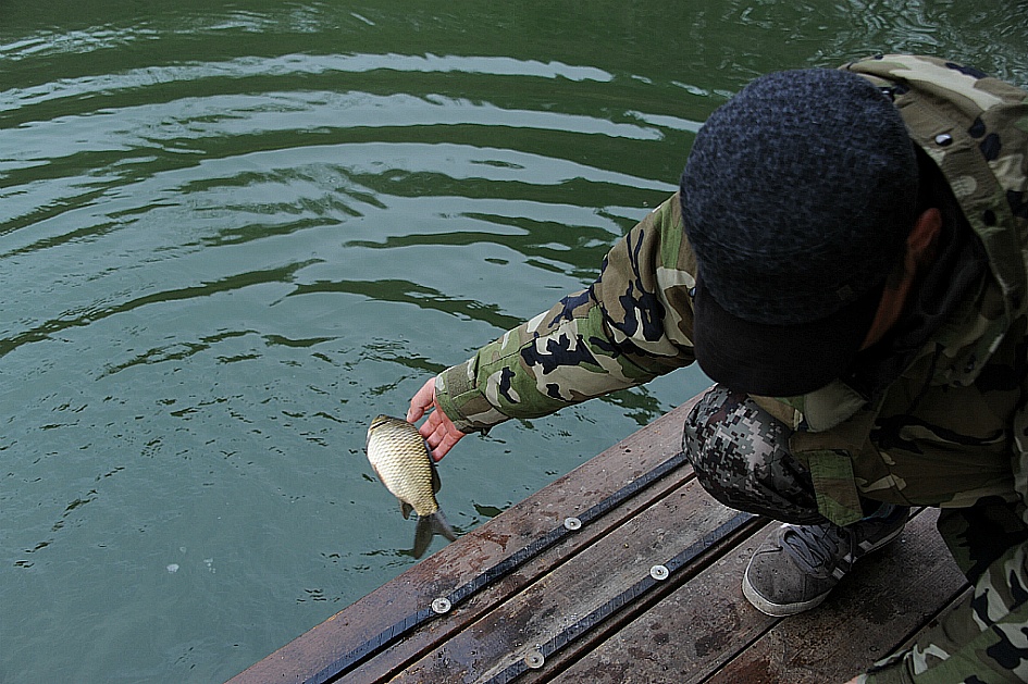 DSC_6615.JPG