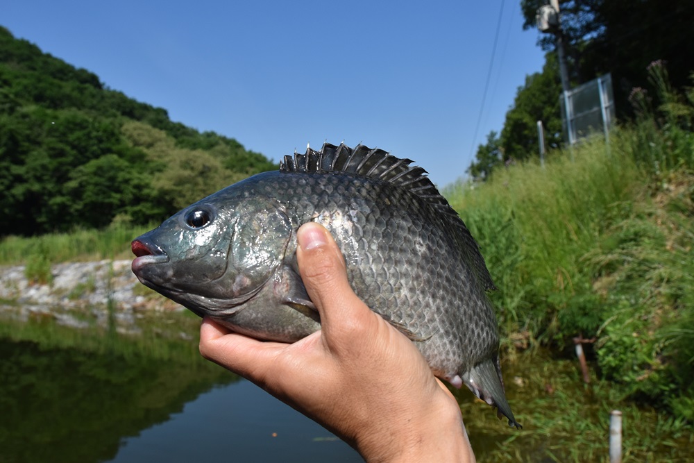 DSC_0363.JPG