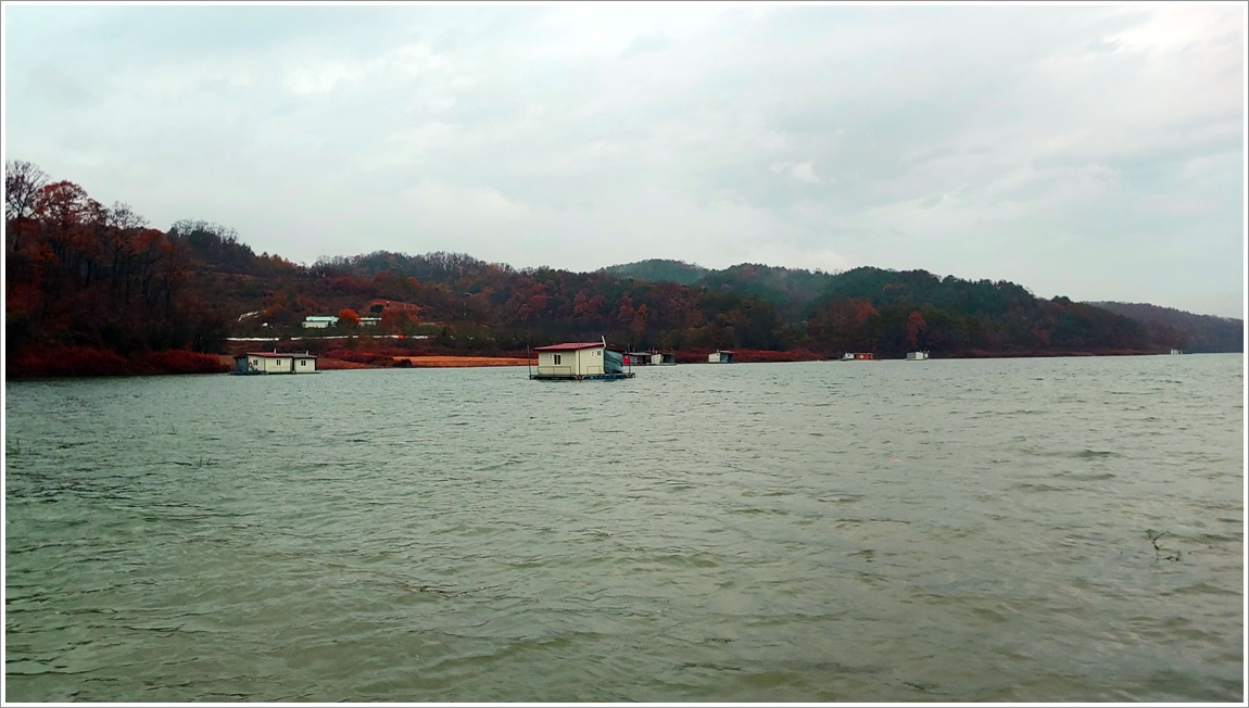 20191117_171336.jpg