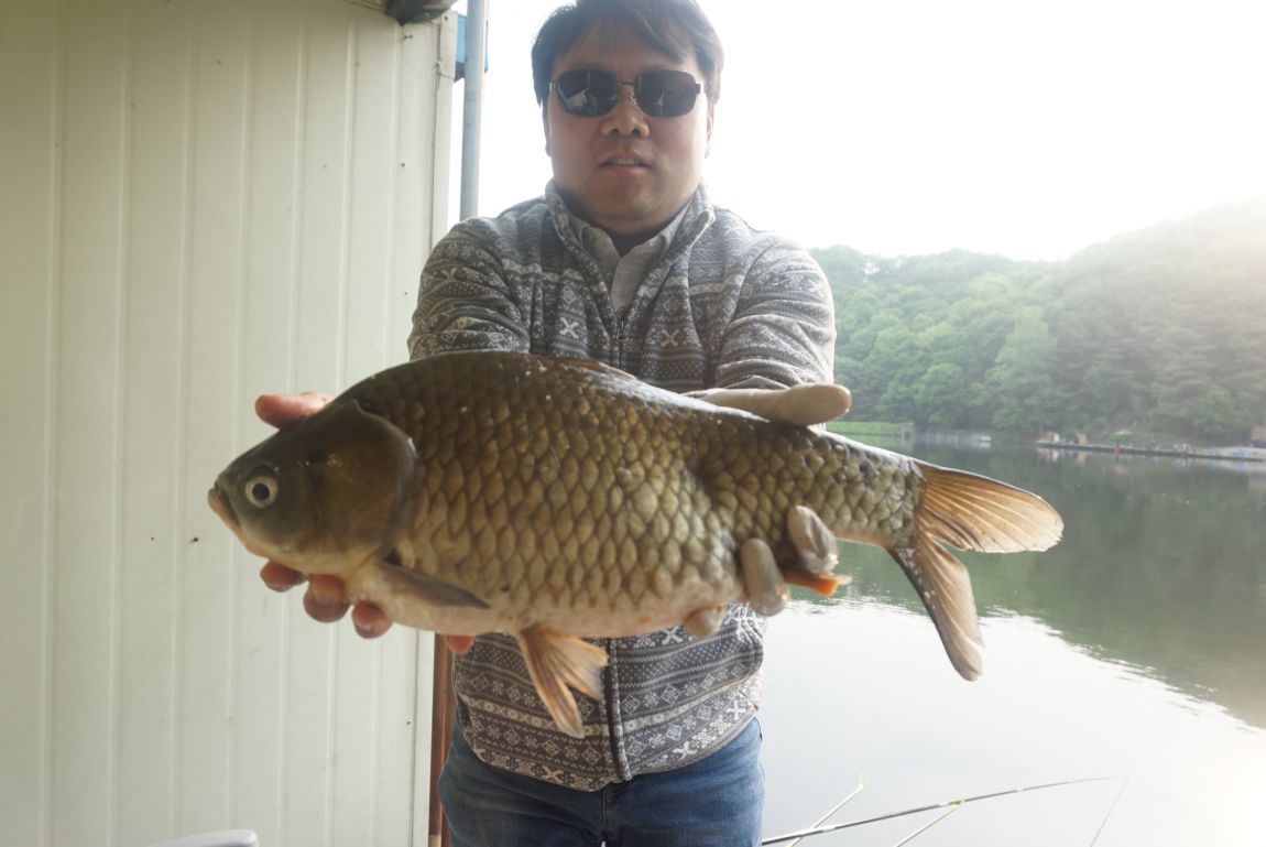 DSC08545.JPG