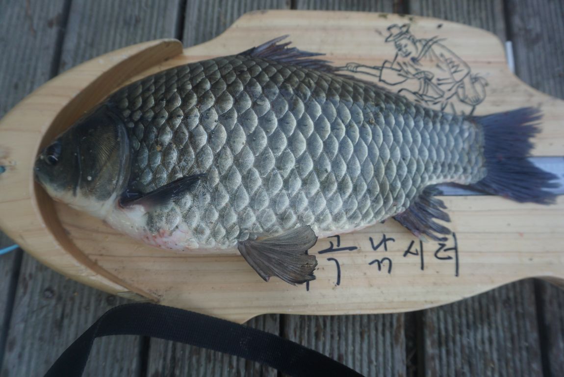 DSC08566.JPG