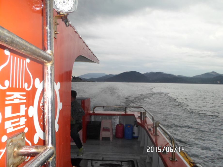 오천 회변항 우럭 낚시 조황/조나단호(6월 14일)