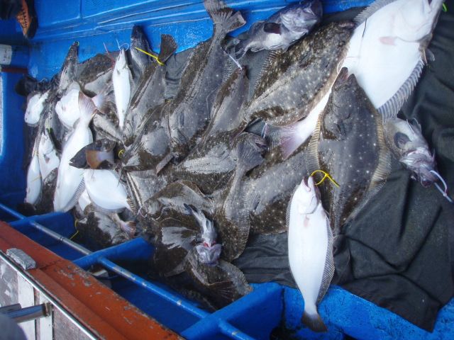 P1010016.JPG