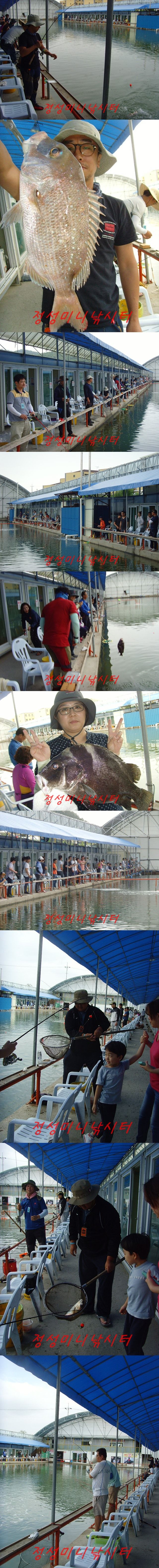 555.jpg