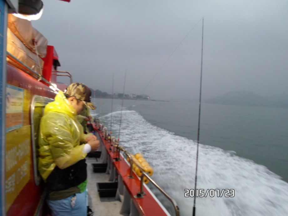 오천 회변항 백조기 낚시 조황(7월 23일)