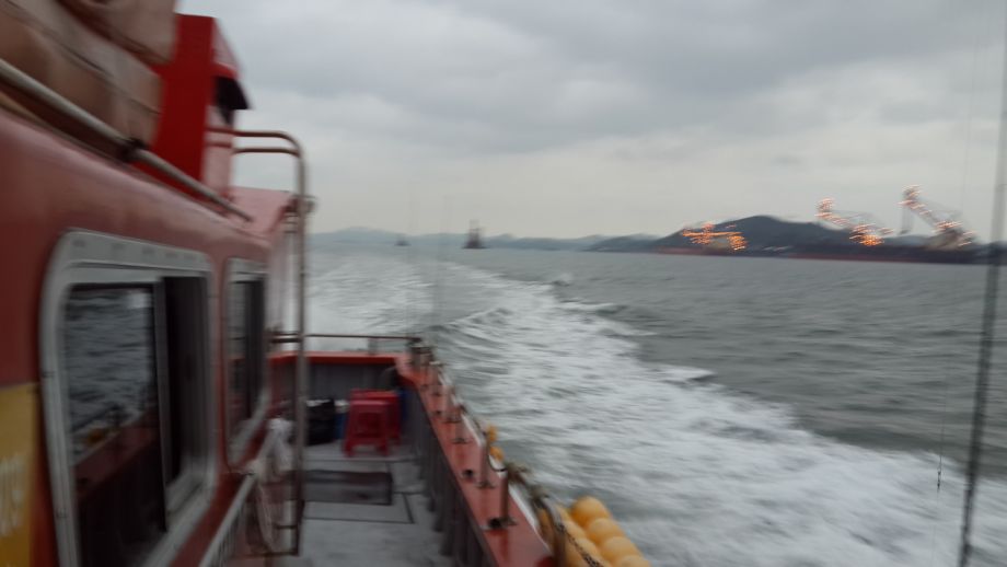 오천 회변항 백조기 낚시 조황(7월 25일)