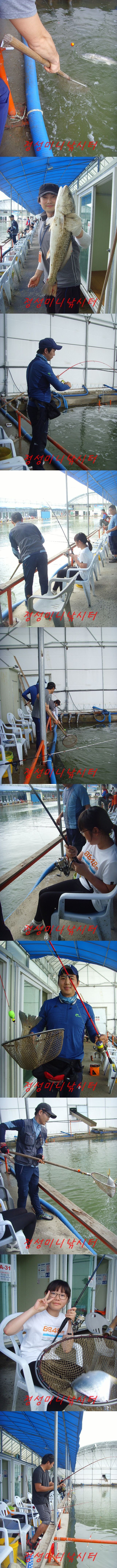 555.jpg