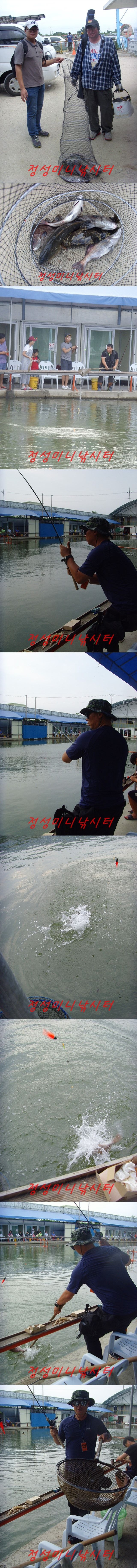 9222.jpg