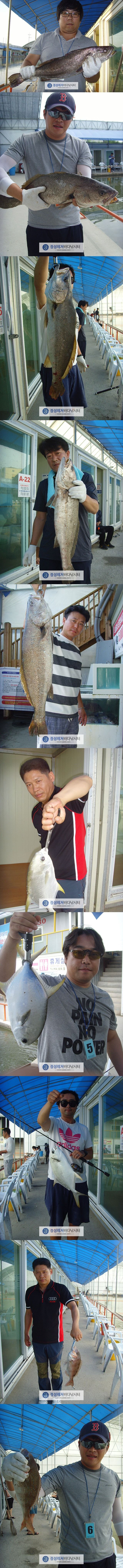 111.jpg