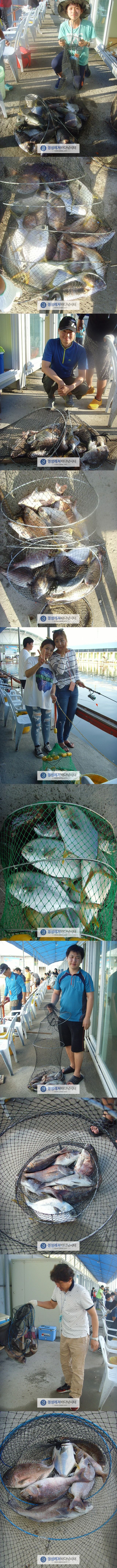 222.jpg