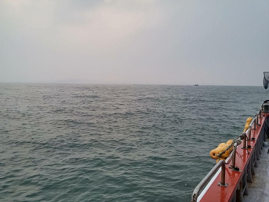 오천 회변항 백조기 낚시 조황/조나단호(8월 15일)