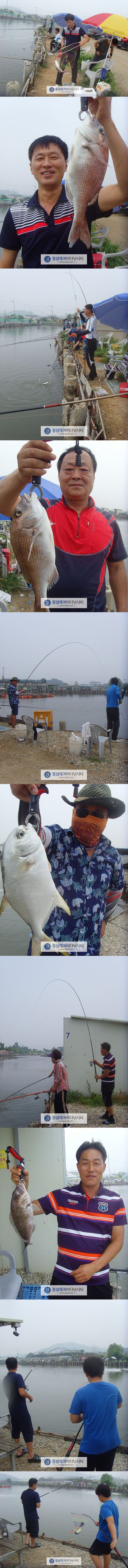 95555.jpg