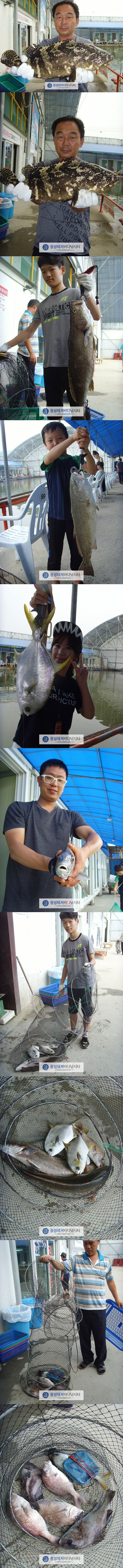 111.jpg
