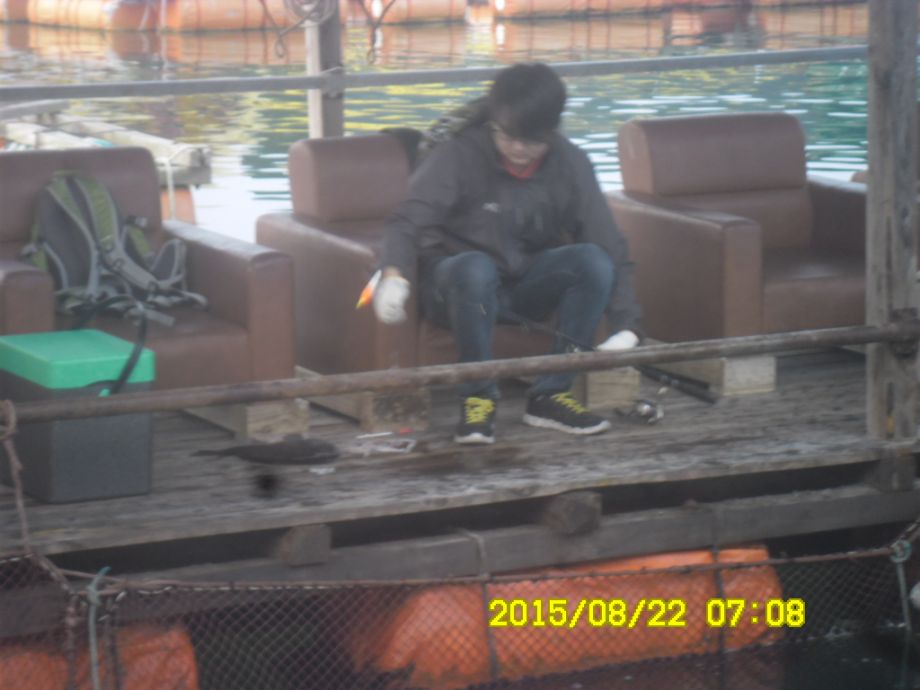 SAM_3490.JPG