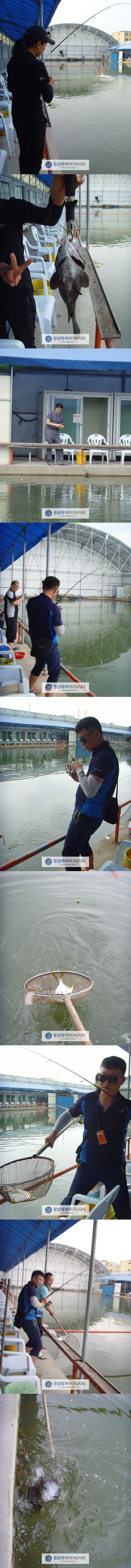 555.jpg