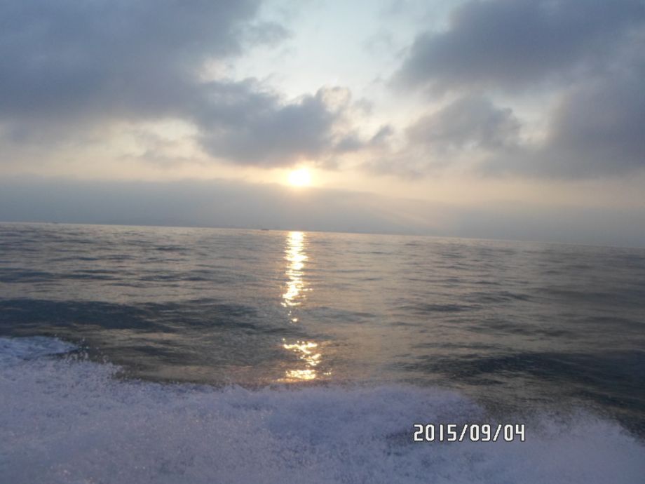 오천 회변항 쭈꾸미 낚시 조황/조나단호(9월 4일)