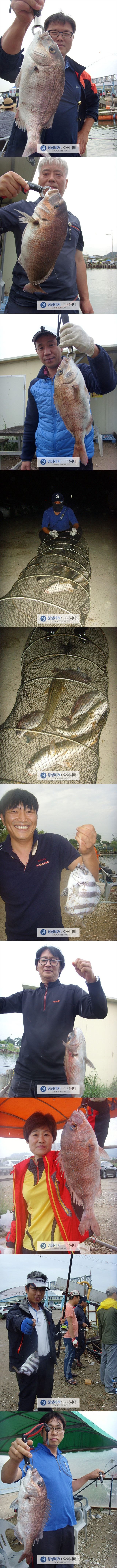 933333.jpg