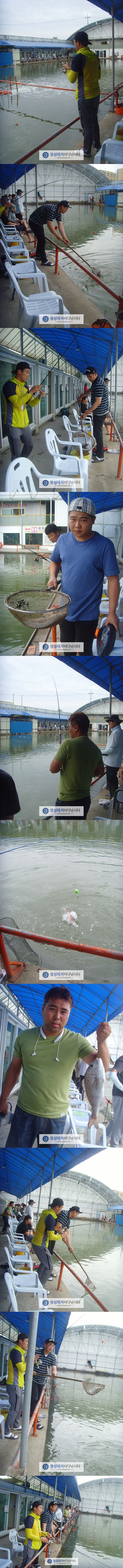 9333.jpg
