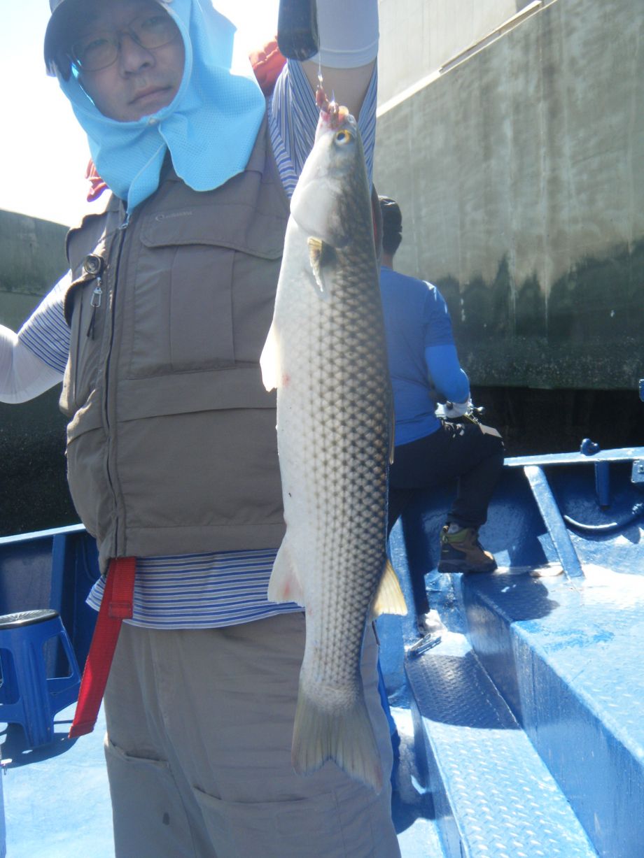 DSCF0540.JPG