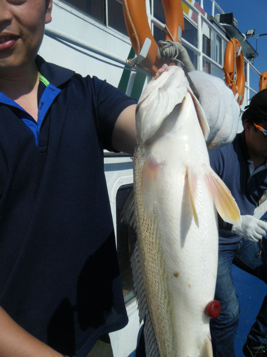 DSCF0560.JPG